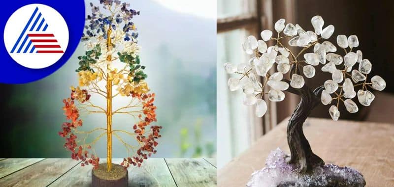 Keep crystal tree in home-office like this the inflow of money will increase rapidly skr 