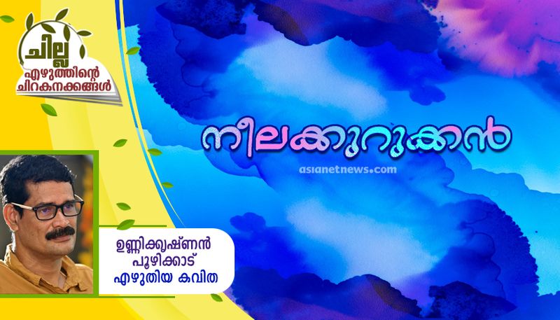 chilla malayalam poem by Unnikrishnan Poozhikkad