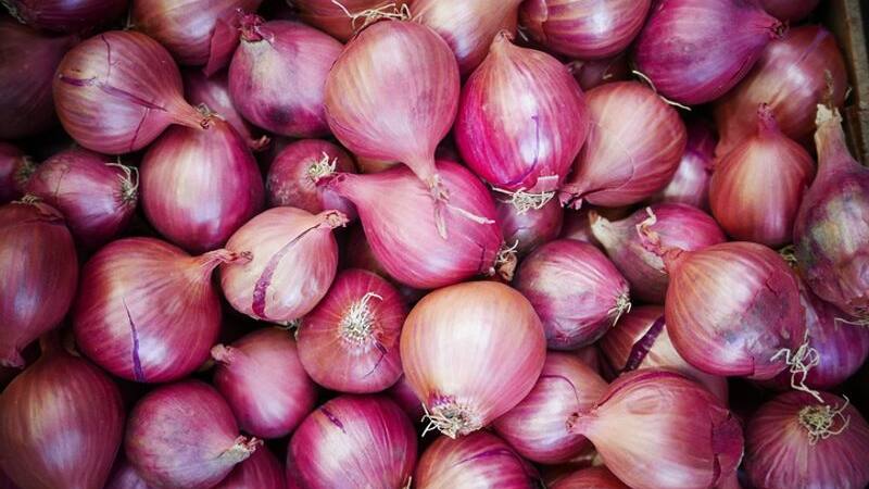 onion