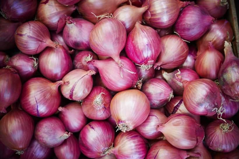Maharashtra: Farmer in Solapur shockingly earns only Rs 2.49 net profile on sale of 512 kg onions
