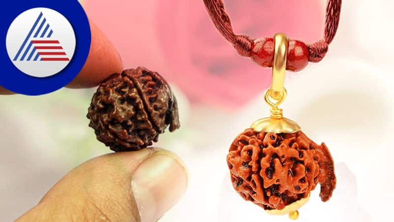 What is the benefit of Ganesh rudraksha skr