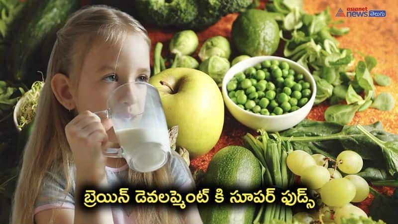 brain development in kids-add these super foods to  their diet