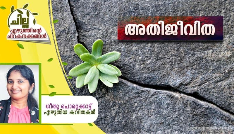 chilla malayalam poem by geethu poettekkatt