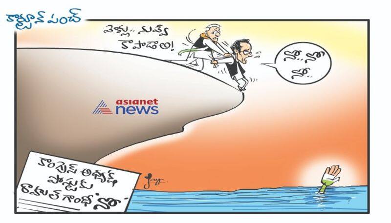 cartoon punch on Rahul Gandhi says no to Congress president post