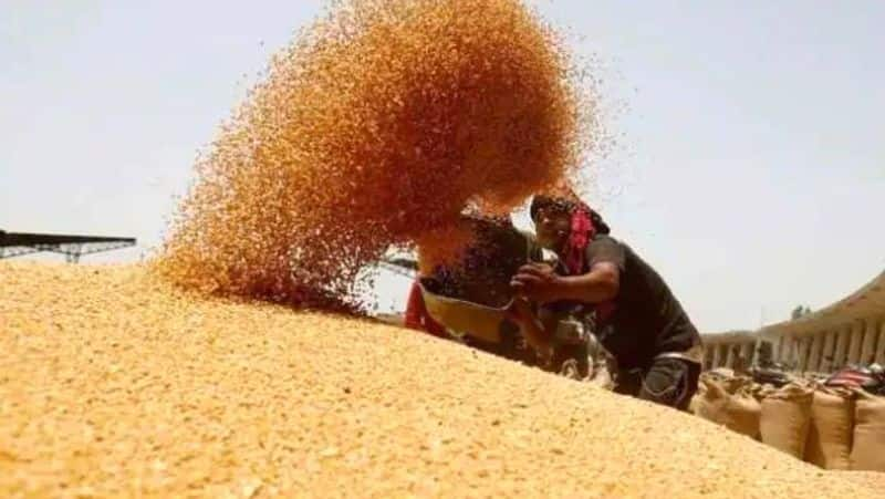 wheat Wholesale prices fall by 10 per cent