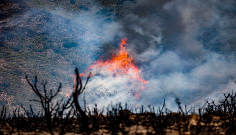 Officials lift evacuation orders as Spain wildfire stabilised AJR