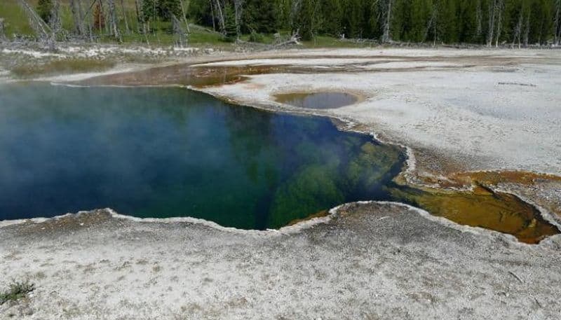 human foot spotted in hot spring of yellowtsone park us 