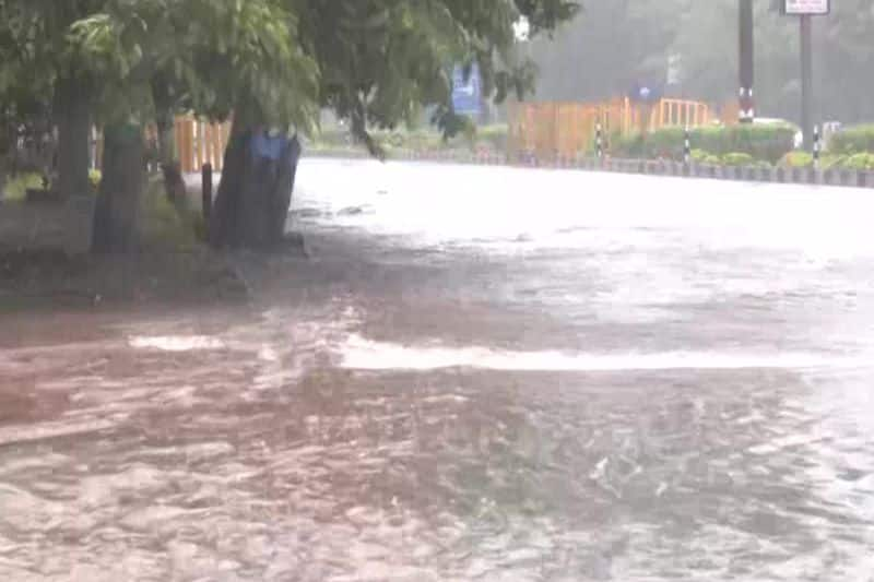 Ox Washed Away in the River Due to Heavy Rain at Siruguppa in Ballari grg