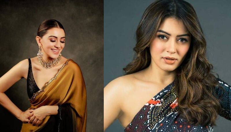 Who is Hansika Motwani's would-be husband? Actress is getting married at Jaipur palace this December  RBA