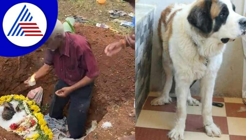 Death  pet puppy An engineer from Mysore who was ritually cremated! rav