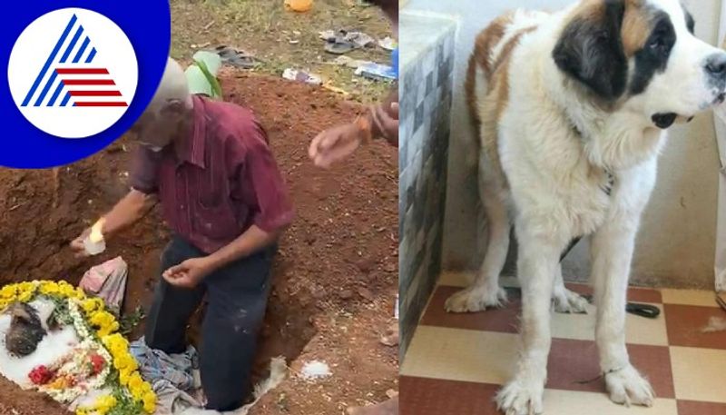 Death  pet puppy An engineer from Mysore who was ritually cremated! rav