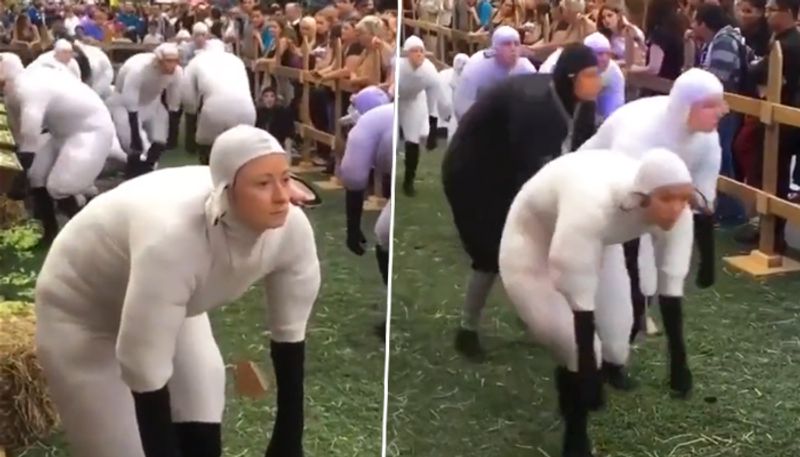 People dress as sheep for a weird contest in France - gps