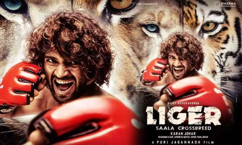 Liger box office collection report Vijay Deverakonda Ananya Panday Ramya Krishnan drb