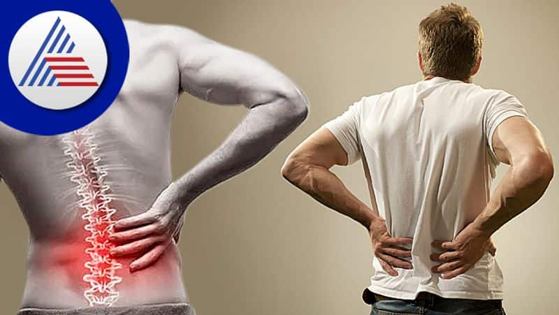 how to avoid back pain while bike driving 