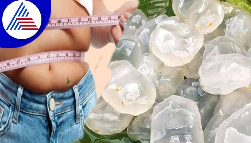 Eat Ice Apple, A Superfood For Weight Loss Vin