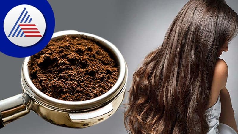 amazing benefits of coffee on hair and scalp in tamil mks