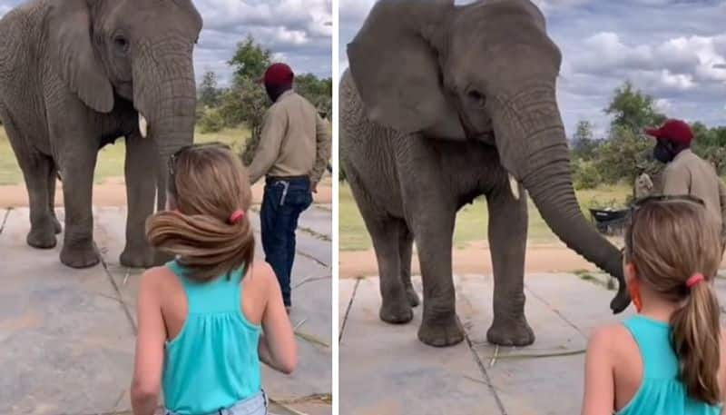 elephant dancing with cute girl child