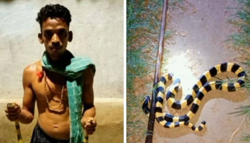 youtuber caught as he used venomous snakes for content creation 