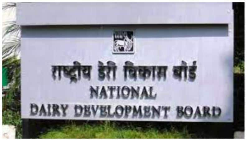 National Dairy Development Board scientist-I in online recruitment 2022