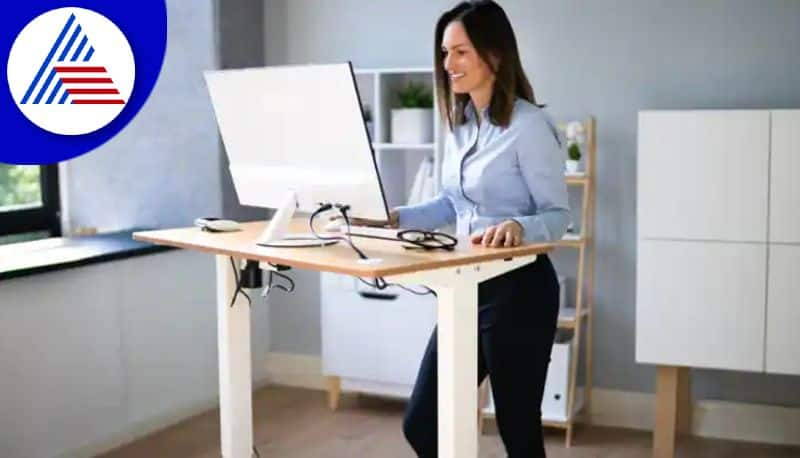 Desk Jobs Giving You Backpain, Reasons To Start Using Standing Desk Vin