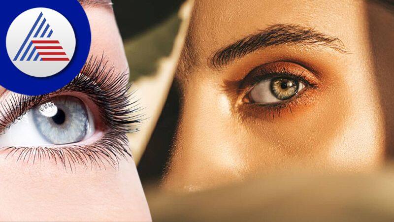 Eye color and shape in palmistry tells how is personality 