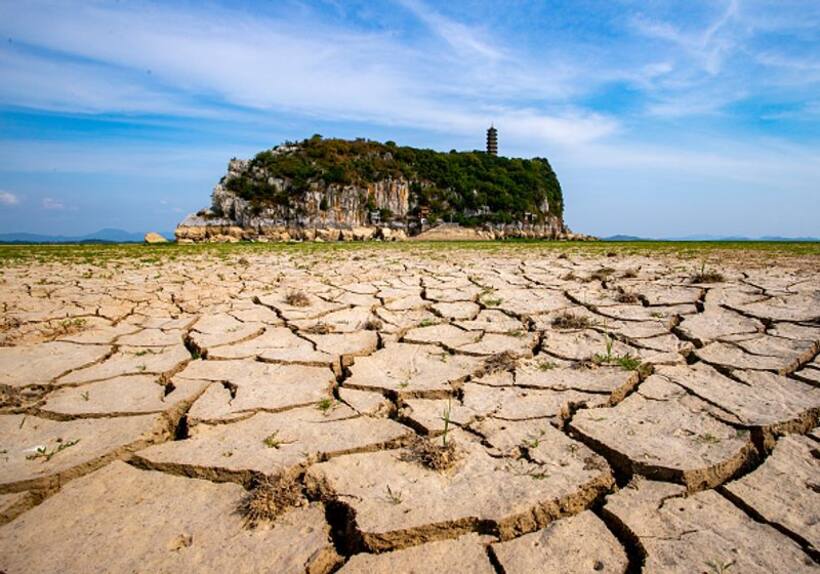 Shocking! IMD data shows 125 districts in India grappling with drought