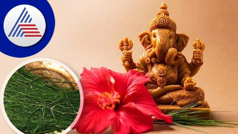 By doing these measures you get the blessings of Ganesha