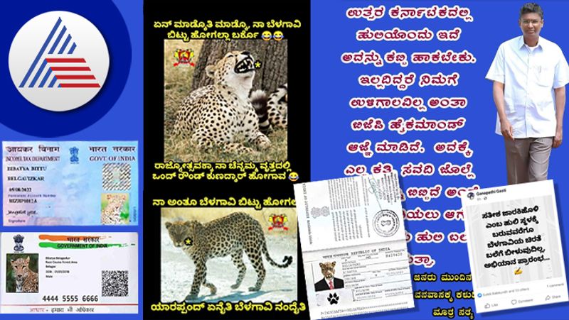 belagavi leopard photos viral comedy photos in social media gvd