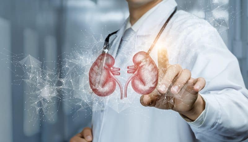 Some interesting facts about human kidneys rsl