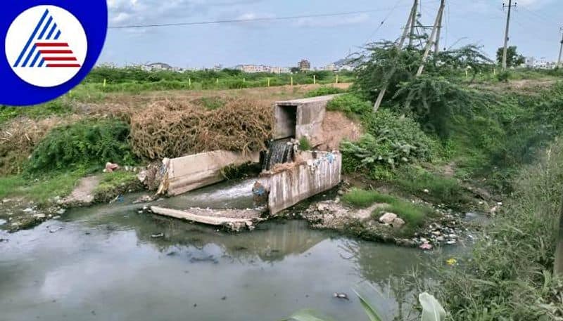 Yadgir People Sewage Water to Drink grg