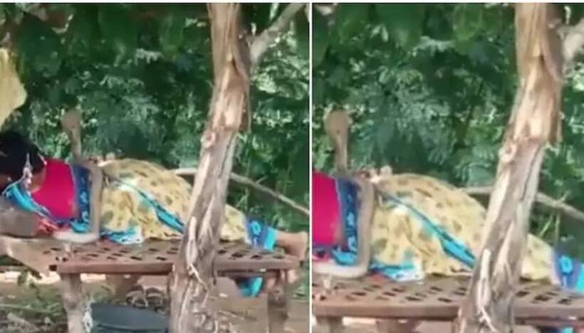  వైరల్ : పాము ఒంటిపై పాకుతున్నా చలించకుండా..!