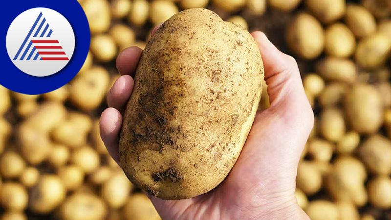 Know The Right Way To Store Potatoes and buy vegetable 