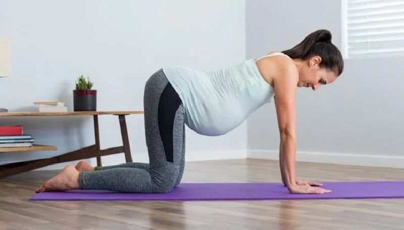 five yoga poses which helps to reduce back pain during pregnancy 