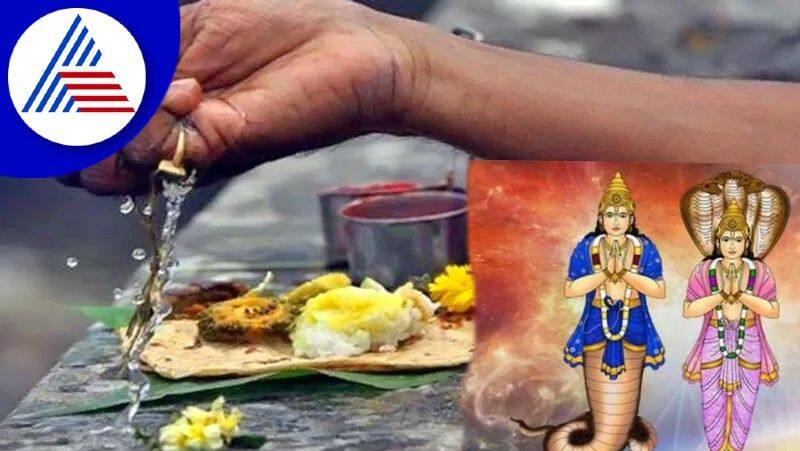 For the peace of Rahu and Ketu do these remedies in Pitru Paksha skr