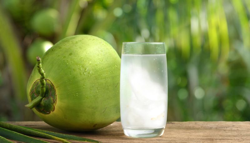 World Coconut Day 2022 benefits of coconut water