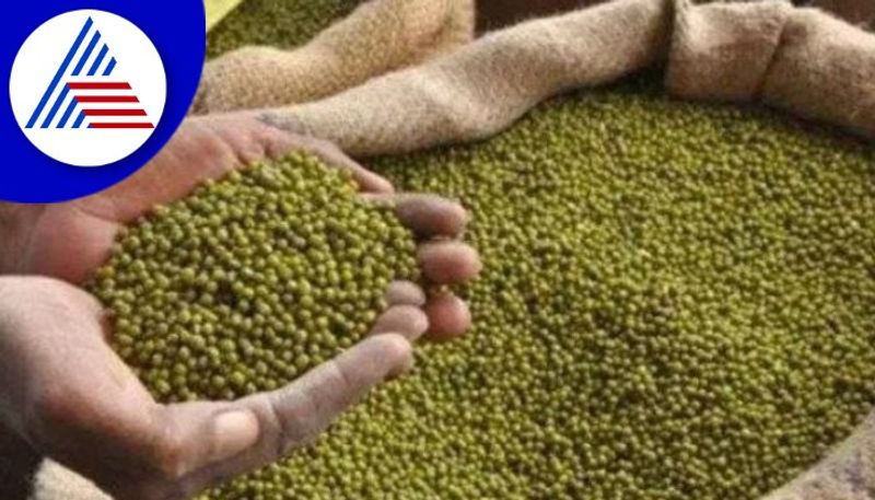 Green moong buying starts from today in koppala 