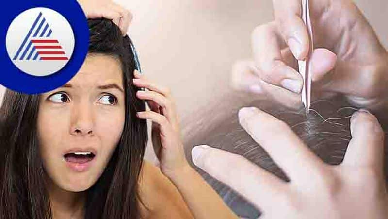 Why we should not pluck white hair pav