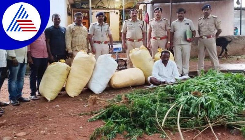 1.6 Crore Worth Marijuana Seized in Kalaburagi grg