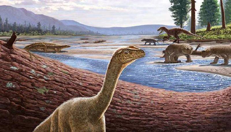 Massive 125-Million-Year-Old Herbivorous Dinosaur's Fossil Found In England sgb