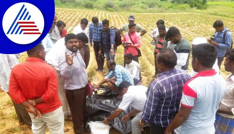 crop damaged by insects in chikkaballapur district gvd