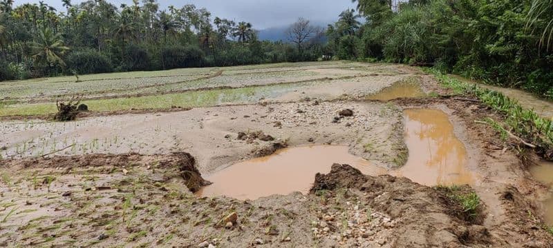 heavy rain in chikkamgaluru district and huge damage gvd