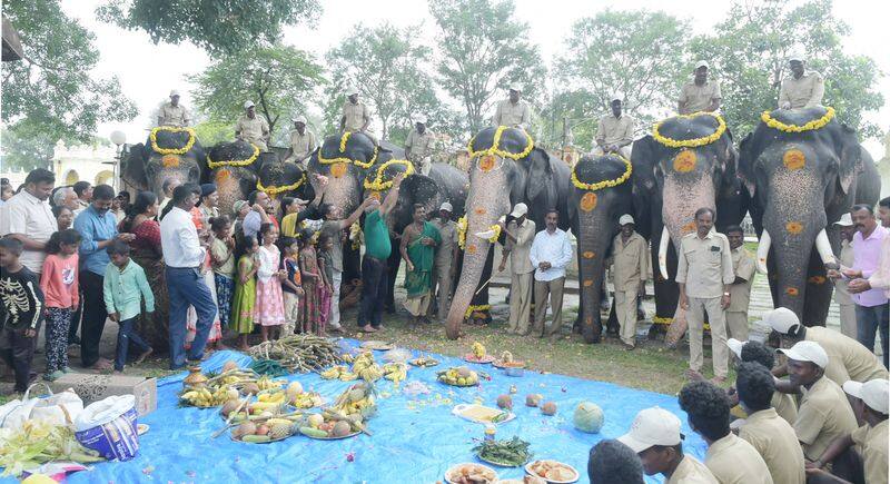 special puja for gajapade on the occasion of ganesha festival in mysuru gvd