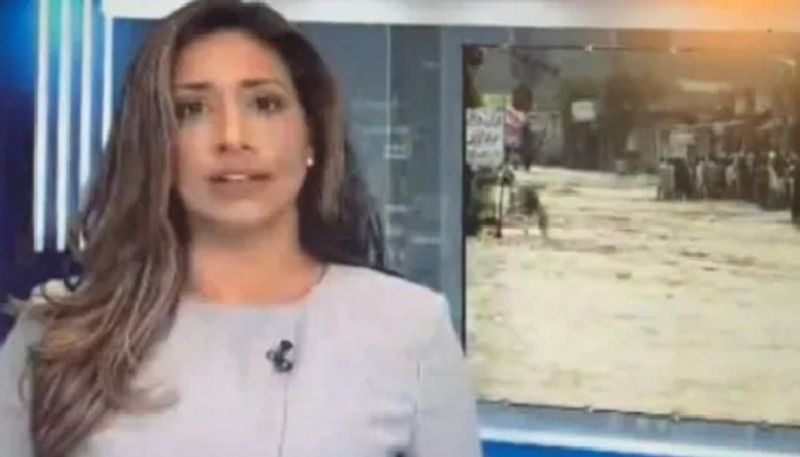 news anchor swallows fly during show funny video goes viral 