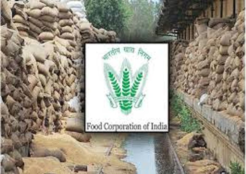 Central Government Jobs 5043 Vacancies in Food Corporation of India Opportunity for Graduates