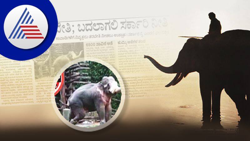 Elephant Training issue Retirees are ready to solve the shortage of trainers shivamogga rav