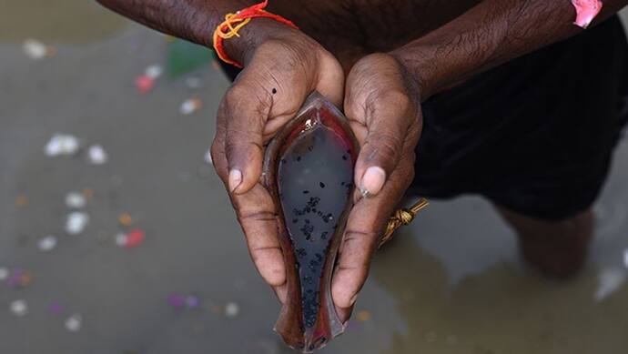 Pitru Paksha 2022: 10 से 25 सितंबर तक रहेगा पितृ पक्ष, जानें श्राद्ध की खास तिथियां व अन्य बातें 