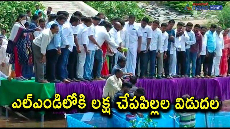 Minister Gangula Kamalakar released free fish fry In Lower Maneru Dam