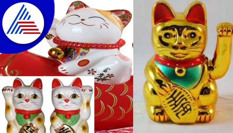 Fengshui Tips Of Lucky Cat keep at home bring luck vaastu tips here