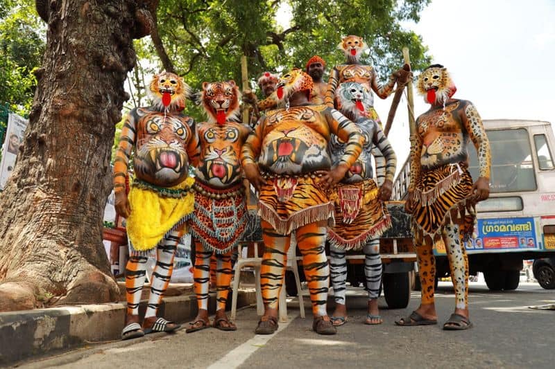 tigers descend thiruvananthapuram welcome onam week celebrations