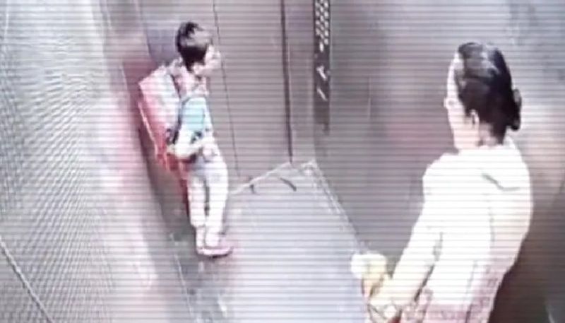 pet dog bites child inside lift 